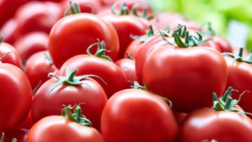 Estratégias de tratamento BASF 2021 para Horticultura